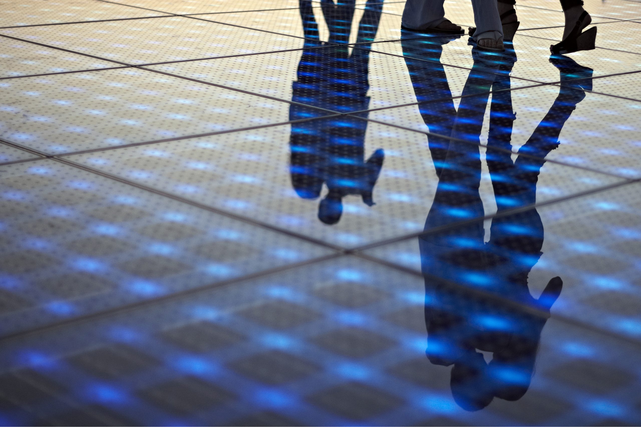 Regulatory Risk and Rectification - January newsletter featured image